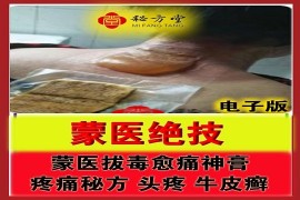 蒙医拔毒愈痛神膏 8.8元