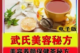 武氏美容养颜保健茶6.8元