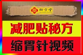 热门特效减肥贴秘方缩胃针视频加针法8.8元