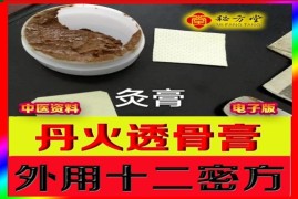 丹火炙透骨膏特效秘方土匪药秘方 十二大技术16.8元