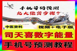 司天喜数字能量 手机号预测 绝密断：九阳神功 6.8元