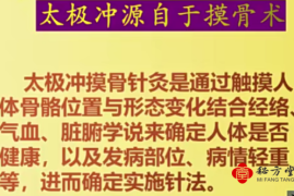 非遗太极冲针法治疗常见病与疑难杂症网络课3.8元