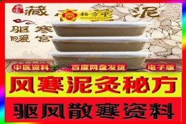 风寒泥灸配方8.8元