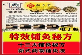 新式药物铺灸法 十三大灸方 16.8元