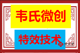 韦氏微创特效技术(完整线下课程➕实操)4.8