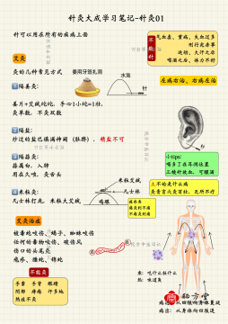 倪海厦针灸大成笔记无水印版3.8元第2张-秘方堂