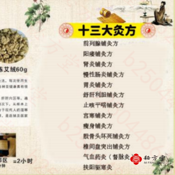 新式药物铺灸法 十三大灸方 16.8元第3张-秘方堂